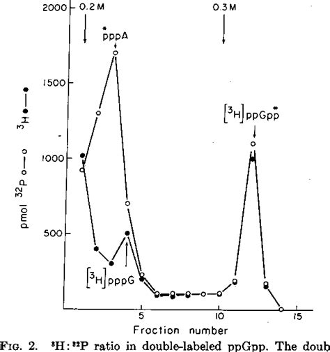 Figure 2 from Identification of the synthesis of guanosine ...