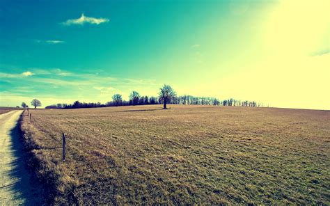 Wallpaper Sunlight Trees Landscape Sunset Hill Nature Sky