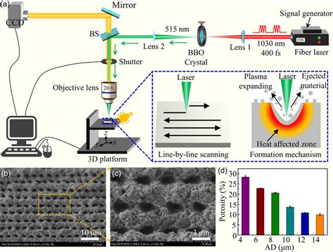 Laser Fabrication System And Surface Topography Of The Porous