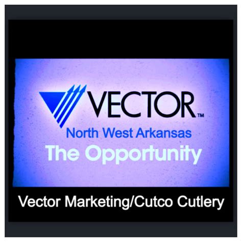 Legal experts break down why people ask is vector marketing a pyramid scheme