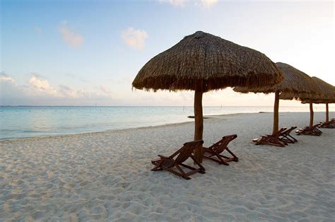 Oasis Palm - Oasis Palm Hotel Specials - Oasis Palm Beach Resort