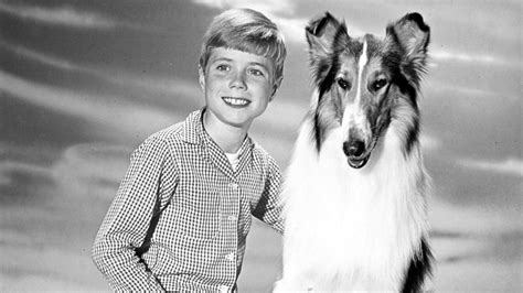 'Lassie' Cast: What Happened To The Stars After The Hit Series | Woman ...