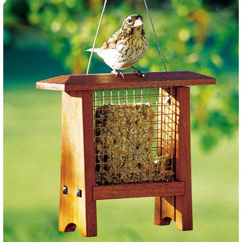 Suet Bird Feeder Woodworking Plan From Wood Magazine