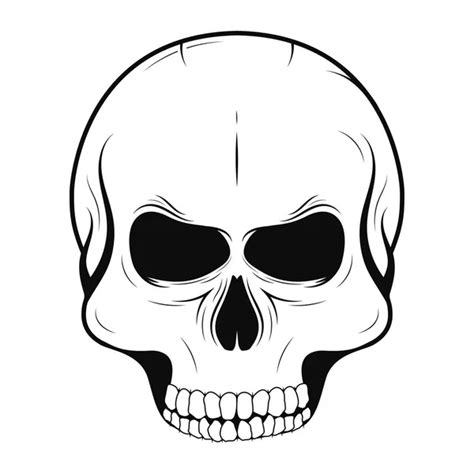 Black White Vector Illustration Human Skull Lower Jaw Isolated White Stock Vector Image By