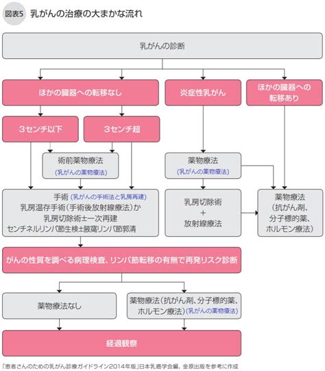 乳がんの病期と治療法 Npo法人キャンサーネットジャパン