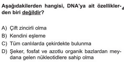 8 Sınıf Dna Ve Genetik Kod Test Çöz Lgs Çözümlü Sorular Ve Testler