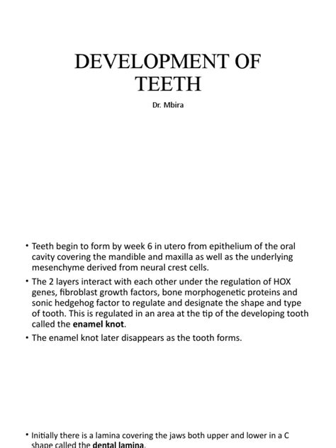 Development of Teeth | PDF | Human Tooth | Tooth