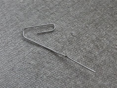 Зацвести герани помогает обычная скрепка — цветоносы появляются через ...