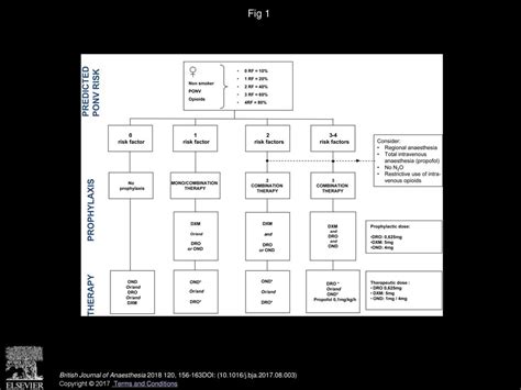 Simplified Algorithm For The Prevention Of Postoperative Nausea And