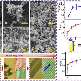 A Sem And B Tem Hrtem Images Of Zn Mn O Nanorods Annealed At