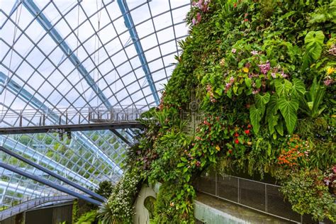 Cloud Forest Dome at Gardens by the Bay in Singapore Stock Photo ...