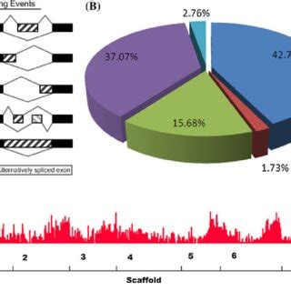 As Events In The Peach Transcriptome A Diagram Of Five Major Types Of