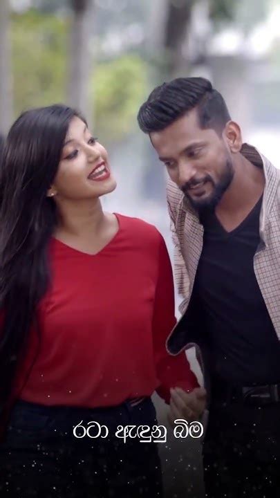 කොළඹ අහසට ලබන සතියේ Rosa රෝස Youtube