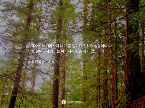 요한복음 146 Daily Bible Inspirations