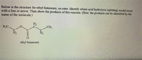 Solved Below Is The Structure For Ethyl Butanoate An Ester