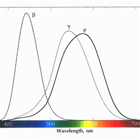 Relative sensitivity curve of short β middle γ and long ρ