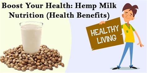 Hemp Milk Nutritional Benefits | Blog Dandk