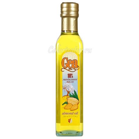 Масло миндальное - калорийность, полезные свойства, польза и вред ...