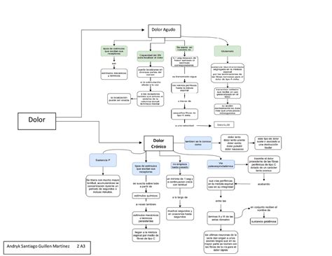 Mapa Conceptual Dolor Docsity Porn Sex Picture