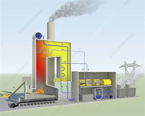 Biomass-fired power station, diagram - Stock Image - C029/1639 ...