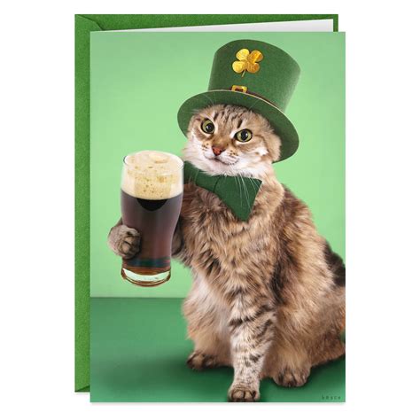 Cat With Beer Funny St Patricks Day Card Greeting Cards Hallmark