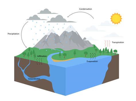 Water Vapour Diagram Stock Photos, Pictures & Royalty-Free Images - iStock