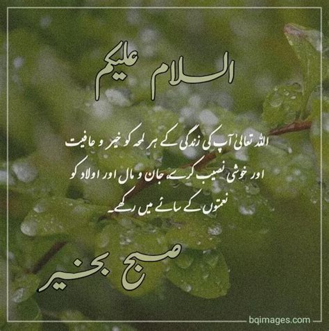 30 Beautiful Good Morning Wishes Dua In Urdu Images Artofit