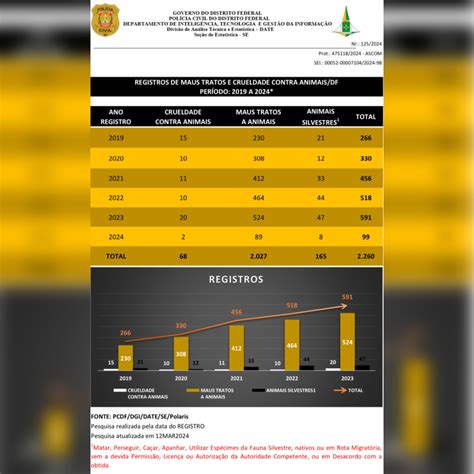 Em Dois Meses Quase Animais Foram V Timas De Maus Tratos No Df