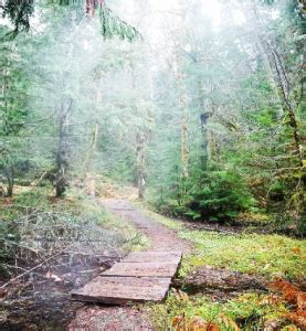 Best Hot Springs In Washington State Mapped Complete Guide