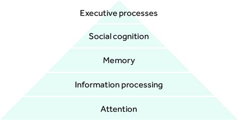 2 Cognitive Hierarchy Download Scientific Diagram