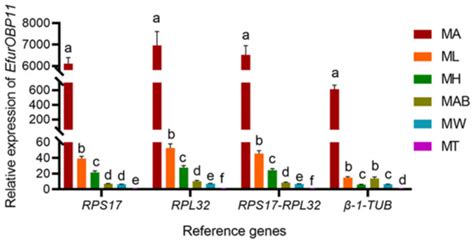 Assessment Of Suitable Reference Genes For Qrt Pcr Normalization In