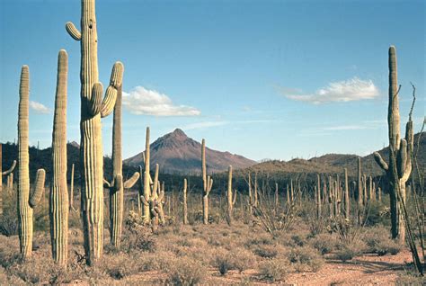 Tucson | Arizona, Map, Population, & Facts | Britannica