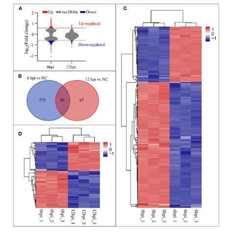 Cellular Responses To B Pseudomallei Infection Analysis Gene