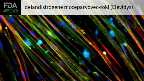 Gene Therapy For Duchenne Muscular Dystrophy Gets Expanded Approval