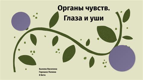биология by Игорь Быков on Prezi