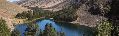 Virginia Lakes Trail: 351 Reviews, Map - California | AllTrails