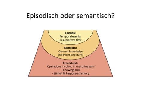 Autobiographisches Gedächtnis Flashcards Quizlet