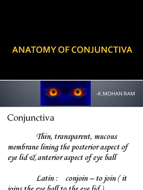 Anatomy of conjunctiva | Epithelium | Human Head And Neck