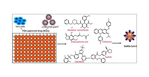 High Throughput Screening Of An Fda Approved Drug Library Identifies Inhibitors Against