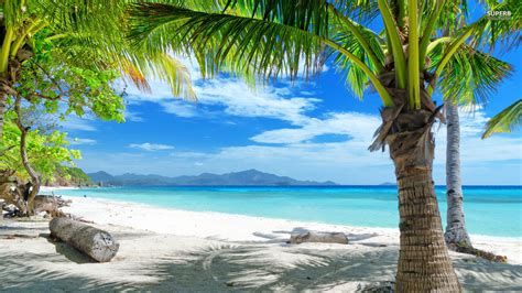 Tropical Beach Scenes Wallpaper (49+ images) 