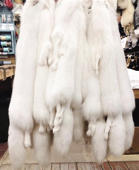 Arctic Fox Fur Pelts Etsy