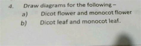 Draw Diagrams The Following Dicot Flower And Monocot Flower Dicot