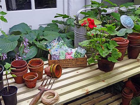 Tuintips Voor September De To Dos Tuincentrum Osdorp