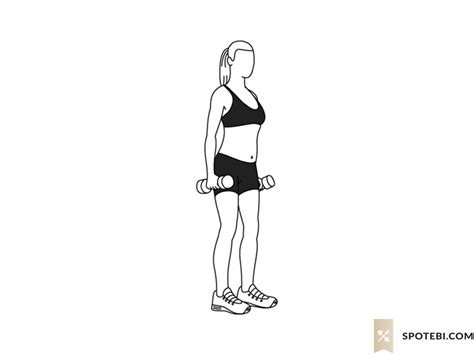 Hammer Curls | Illustrated Exercise Guide