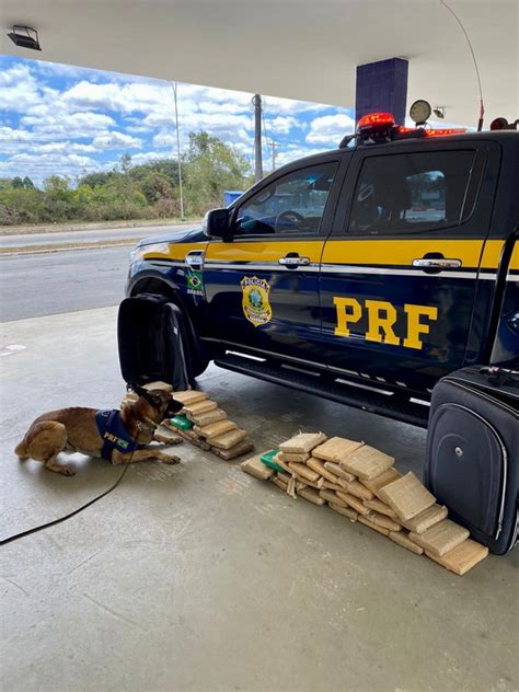 Prf Prende Dupla Transportando Quase Kg De Maconha Em Vit Ria Da