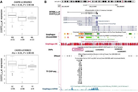 A Expression Quantitative Trait Loci Eqtl Analysis Between