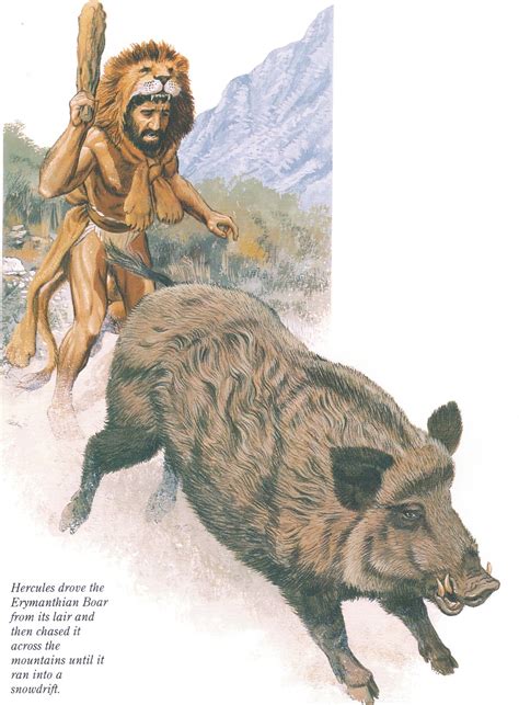 Hercules Conquers The Erymanthian Boar