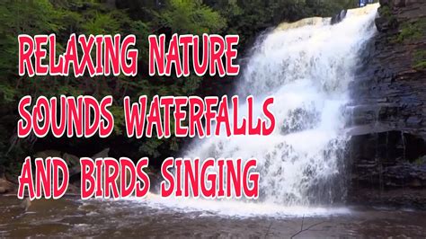 1 Hour Nature Sounds Waterfalls And Birds Singing Youtube