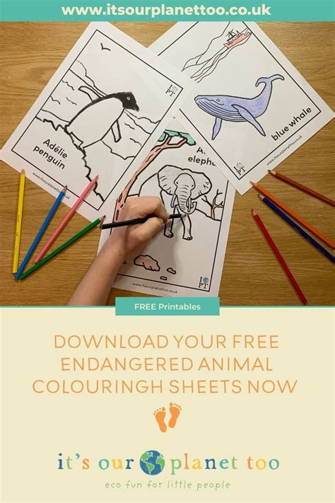 FREE endangered animal colouring sheets to download and print at home