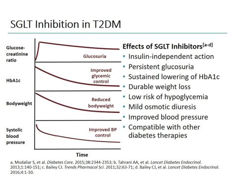 The Expanding Role Of SGLT Inhibitors Across The Diabetes Spectrum